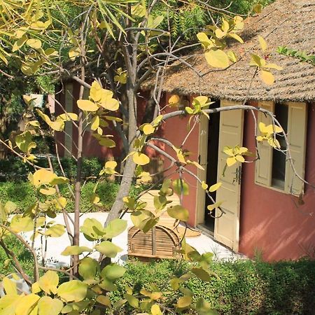Lampsar Lodge Ndiongo Zewnętrze zdjęcie