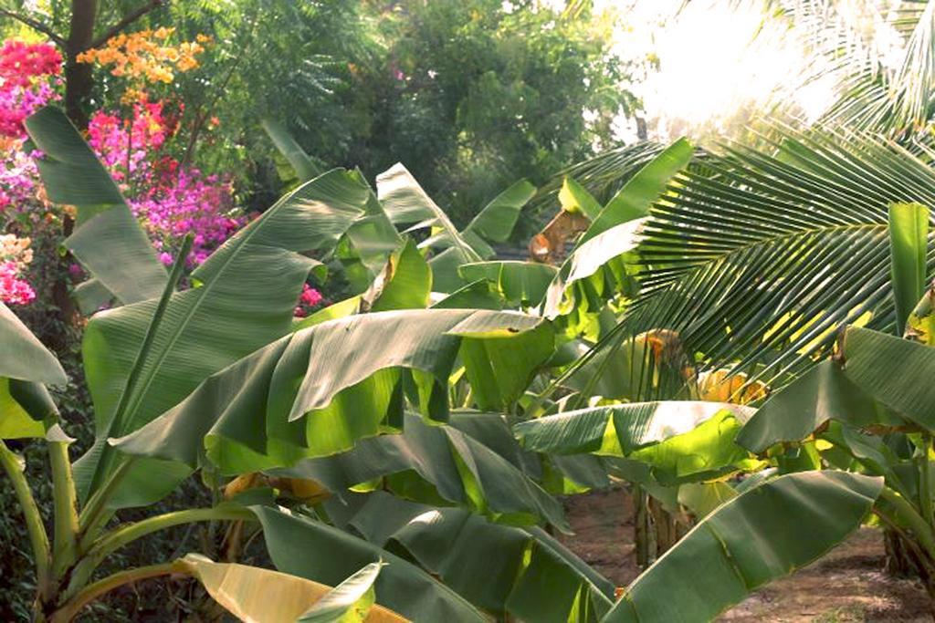 Lampsar Lodge Ndiongo Zewnętrze zdjęcie